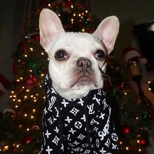 NWOT S upreme Dog Hoodie